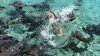 O tânără, model pe Instagram, atacată de rechini în timp ce poza în Bahamas (FOTO/VIDEO)