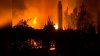 PUBLIKA WORLD: Incendiile de vegetaţie fac PRĂPĂD în Grecia. Oameni morţi şi case cuprinse de flăcări (VIDEO)