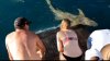 MOMENT DRAMATIC pentru o tânără care hrănea un rechin. A fost trasă în adâncuri de animal (VIDEO)