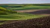 64 % din suprafață totală a terenurilor agricole din raionul Dubăsari a fost documentată cu certificate 