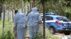 Scheletul unui om spânzurat a fost găsit la periferia orașului Milano. Se presupune că este cetăţean român