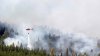Pompierii francezi merg în Suedia pentru a participa la stingerea incendiilor de pădure