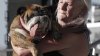 A murit căţeluşa Zsa Zsa, cea care a primit titlul de cel mai urât câine din lume în 2018