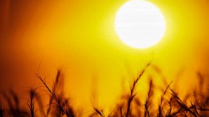 Iulie 2019, cea mai călduroasă lună înregistrată vreodată în lume