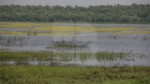 Rezervaţia Prutul de Jos din raionul Cahul a fost inclusă în patrimoniul mondial al UNESCO