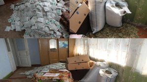 Business moldovenesc cu frunze de dafin, descoperit de poliție. Unde era ascunsă marfa (VIDEO)