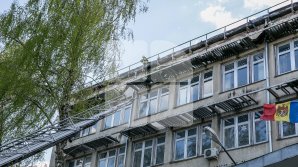 MUCEGAI la Institutul de Zoologie şi Microbiologie din Capitală, după ce ploile au inundat laboratoarele 