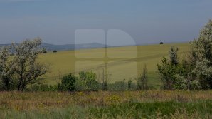 METEO 16 august 2018. Când vin ploile