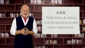 DE VORBĂ DESPRE VORBE cu Vsevolod Cernei. Ce înseamnă cuvântul scaun (VIDEO)