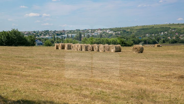 Procesul de documentare a terenurilor agricole din raionul Dubăsari, AVANSEAZĂ! 78% din proprietari au primit certificate