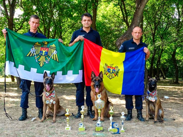 Patrupezii Poliției de Frontieră iarăși la înălțime. Câinii au făcut FURORI ȘI SPECTACOL la un concurs internațional 