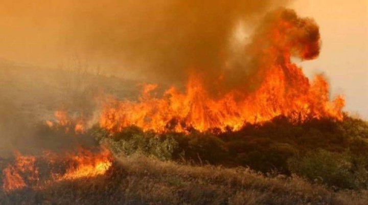 IMAGINI DE GROAZĂ! Cum au ajuns să arate orașele din Grecia după ce au fost devastate de incendii (VIDEO)