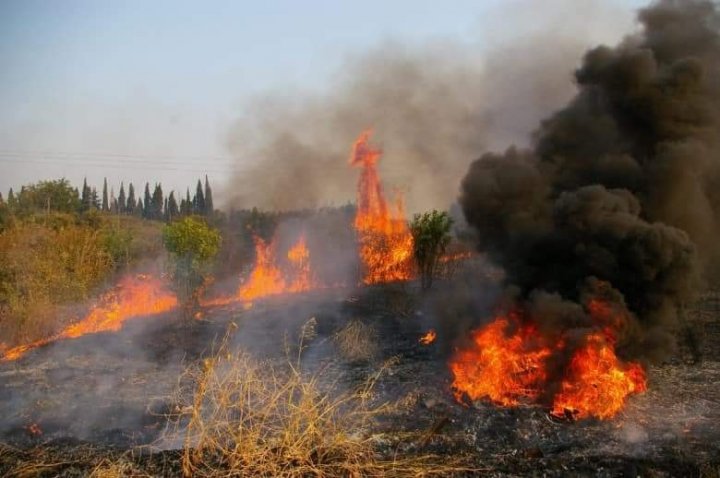 IMAGINI DE GROAZĂ! Cum au ajuns să arate orașele din Grecia după ce au fost devastate de incendii (VIDEO)