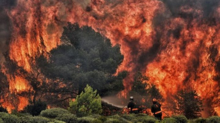 Autorităţile din Grecia, ACUZATE că nu au avut un plan concret de salvare după incendiile petrecute