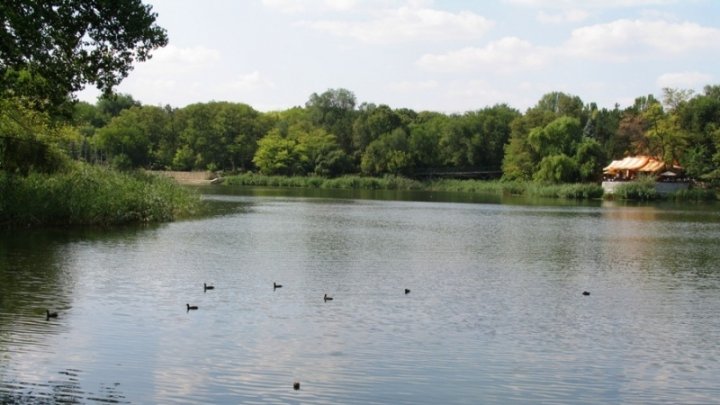 TRAGIC. Un copil de 3 ani s-a înecat în lacul din Parcul Valea Trandafirilor