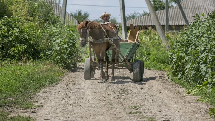 Proiectul Drumuri bune a ajuns la Şoldăneşti. Peste 30 de șosele vor fi RENOVATE (FOTOREPORT)