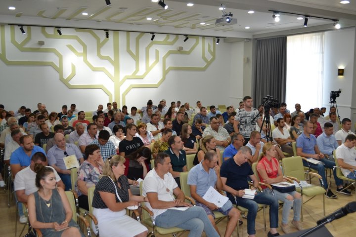 Peste 150 de antreprenori autohtoni interesați de cultivarea alunului în Republica Moldova