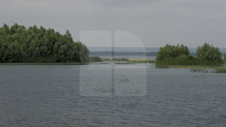 Cel mai frumos loc din Moldova, în patrimoniul UNESCO. Cum arată Rezervaţia Prutului de Jos (FOTOREPORT))