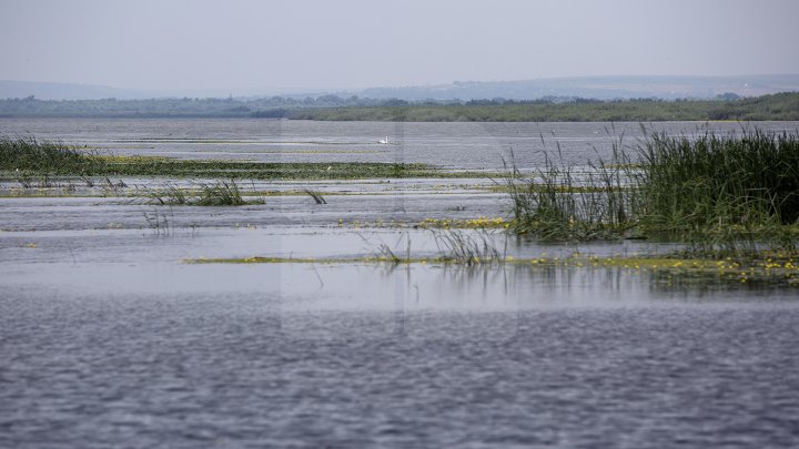 Cel mai frumos loc din Moldova, în patrimoniul UNESCO. Cum arată Rezervaţia Prutului de Jos (FOTOREPORT))