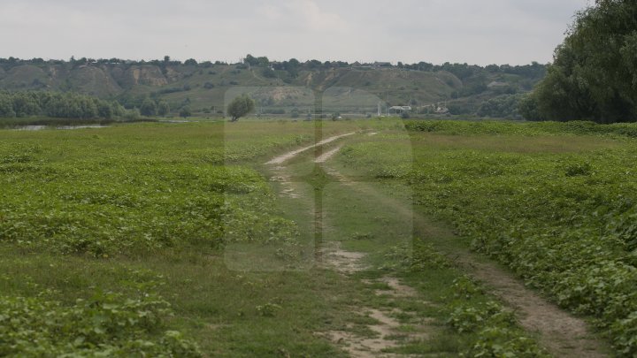 Cel mai frumos loc din Moldova, în patrimoniul UNESCO. Cum arată Rezervaţia Prutului de Jos (FOTOREPORT))