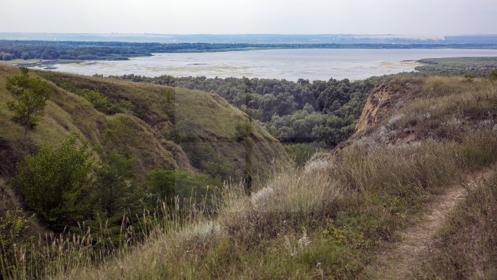 Rezervaţia Prutul de Jos din raionul Cahul a fost inclusă în patrimoniul mondial al UNESCO