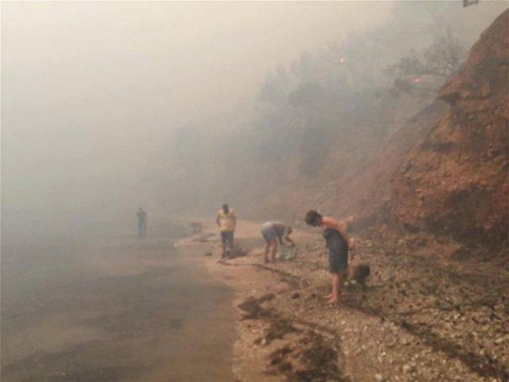 (IMAGINI DIN DRONĂ CARE FAC ÎNCONJURUL LUMII) Oameni și animale fug spre mare din calea flăcărilor, în Grecia