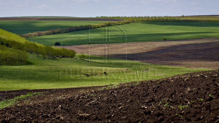 2,5 milioane de euro, despăgubiri pentru proprietarii terenurilor situate după traseul Râbnița – Tiraspol