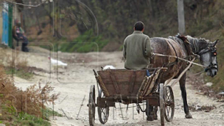 DURERE FĂRĂ MARGINI! O fetiţă de doi ani a dispărut din căruță. Părinții și oamenii legii o caută cu disperare