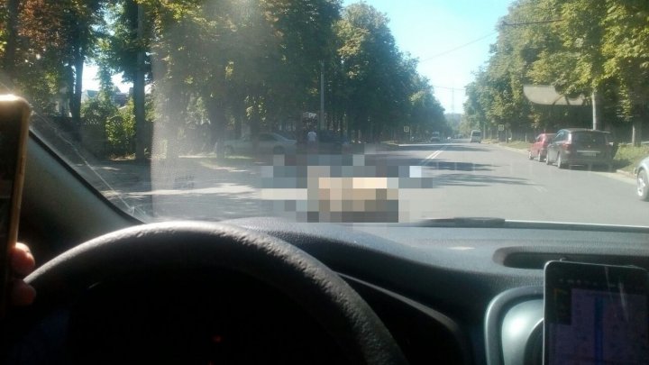 Altfel de "pietoni" în Capitală. Ce au văzut şoferii care au circulat pe strada Belinski (FOTO)