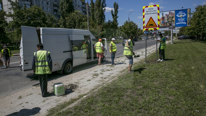 ATENŢIE ŞOFERI! Un indicator nou a apărut în Capitală. Ce semnifică acesta (FOTOREPORT)