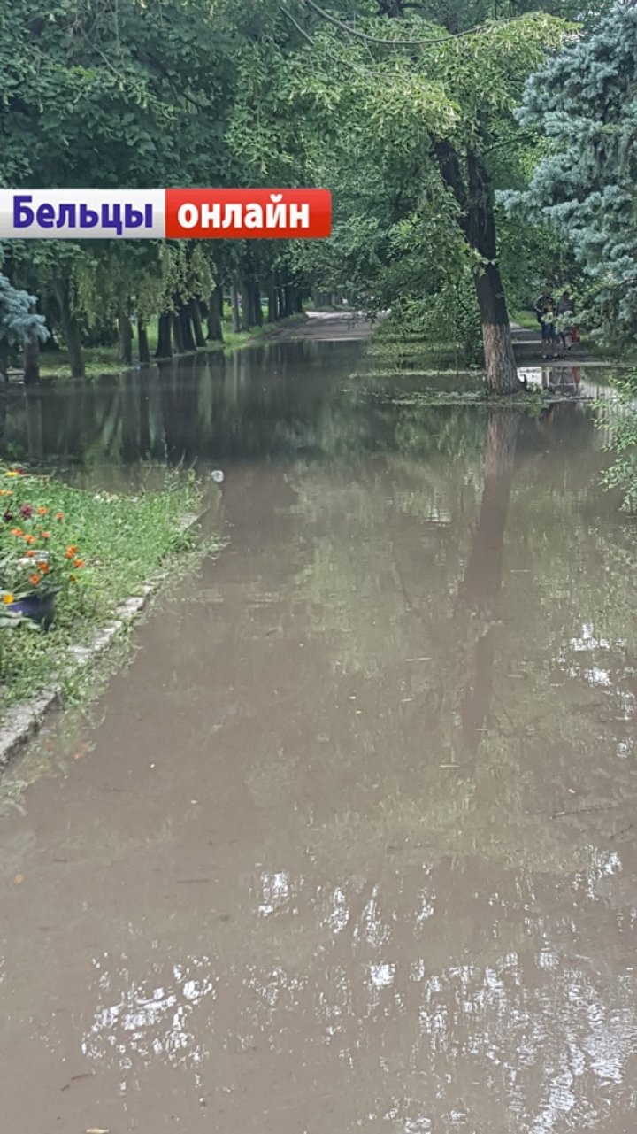 În Bălţi ca în Veneţia. POTOPUL de pe bulevardul Mihai Eminescu, după o PLOAIE TORENŢIALĂ (VIDEO/FOTO)