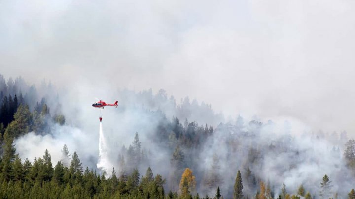 Pompierii francezi merg în Suedia pentru a participa la stingerea incendiilor de pădure