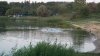 TRAGEDIE LA SCĂLDAT. Un băiat de şase ani s-a înecat în Lacul Cahul