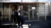 Guvernul elen l-a mutat pe liderul unei grupări teroriste de extremă stângă într-o închisoare de lux
