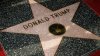 Steaua lui Donald Trump ar putea fi scoasă de pe cunoscutul bulevard Walk of Fame
