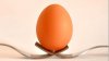 Bine de ştiut! Cum un singur ou îmbibat cu oțet îți poate salva viața