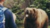 Cinci turiști din Bucureşti au fost fugăriţi de o ursoaică în timp ce coborau de la Vâful Omu