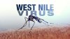 ATENŢIE. Virusul MORTAL West Nile, depistat la hotar cu Moldova. Patru bărbaţi au ajuns la reanimare, după ce au fost înţepaţi de ţânţari
