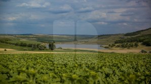 METEO 4 AUGUST: Temperaturi caniculare şi fără pic de ploaie. Câte grade vor indica termometrele