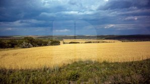 METEO 3 august 2018: Cer variabil şi vânt slab în toată ţara. Câte grade vor indica termometrele