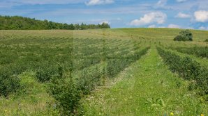 VREMEA continuă să ne facă SURPRIZE! Câte grade vor indica termometrele mâine