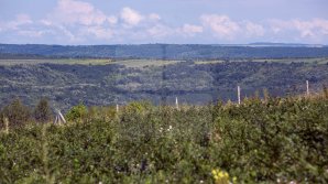 Ne așteaptă temperaturi caniculare: Cum va fi vremea mâine în Capitală şi ţară