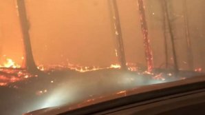 IMAGINI ŞOCANTE în SUA. Un tată şi fiul său trec PRIN PĂDUREA ÎN FLĂCĂRI ca să-şi salveze viaţa (VIDEO)