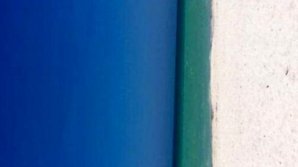 O nouă iluzie pune pe jar internetul. Tu ce vezi în imagine (FOTO)