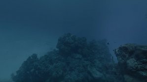 Hydrus VR, prima cameră subacvatică pentru filmări 8K  (VIDEO)