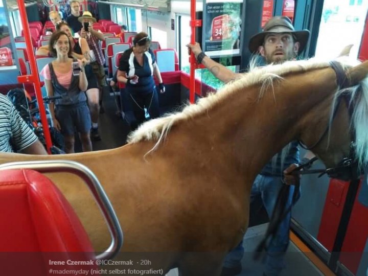 Pasagerii, ULUIŢI! Momentul în care un bărbat urcă cu o iapă într-un tren (FOTO)