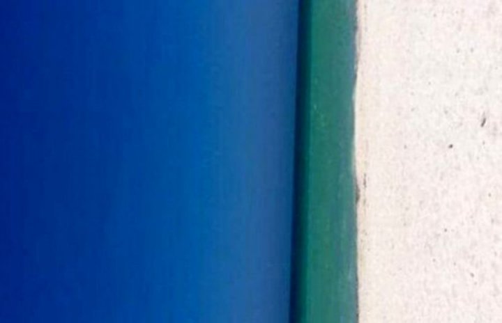 O nouă iluzie pune pe jar internetul. Tu ce vezi în imagine (FOTO)