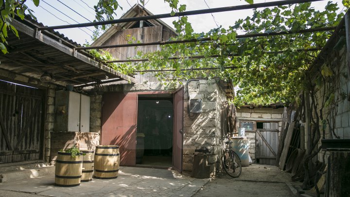 Butoaiele, la mare căutare. Secretele unui dogar din Cărpineni pentru a avea un vin bun (FOTOREPORT)