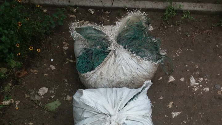 Poliţiştii de frontieră au confiscat arme şi unelte INTERZISE prin lege pentru electrocutarea peştelui (FOTO)