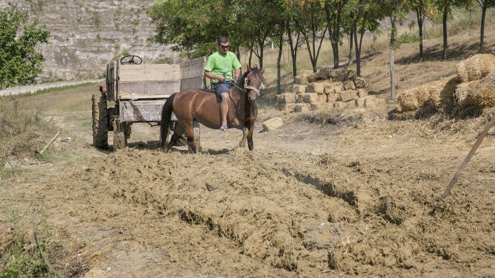 Cu dragoste pentru arhitectura tradițională! 20 de tineri din țară au învățat cum se construiesc casele moldovenești (FOTOREPORT)